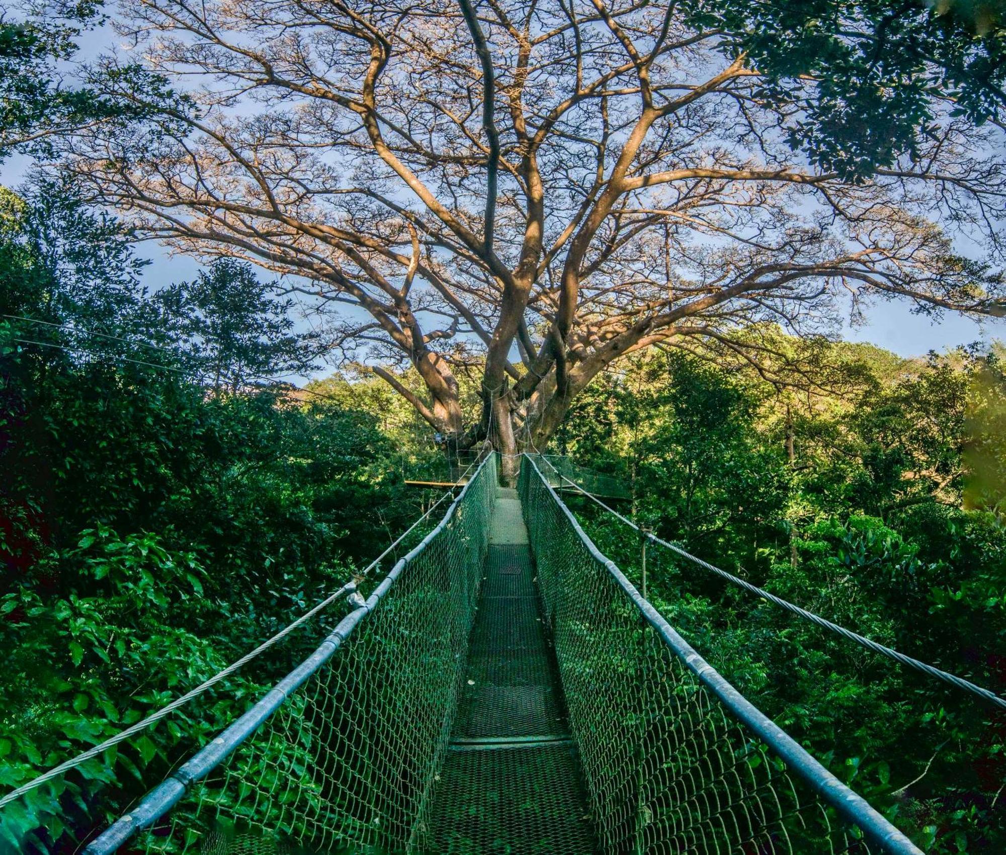 Buena Vista Del Rincon Eco Adventure Park Hotel & Spa Liberia Ngoại thất bức ảnh