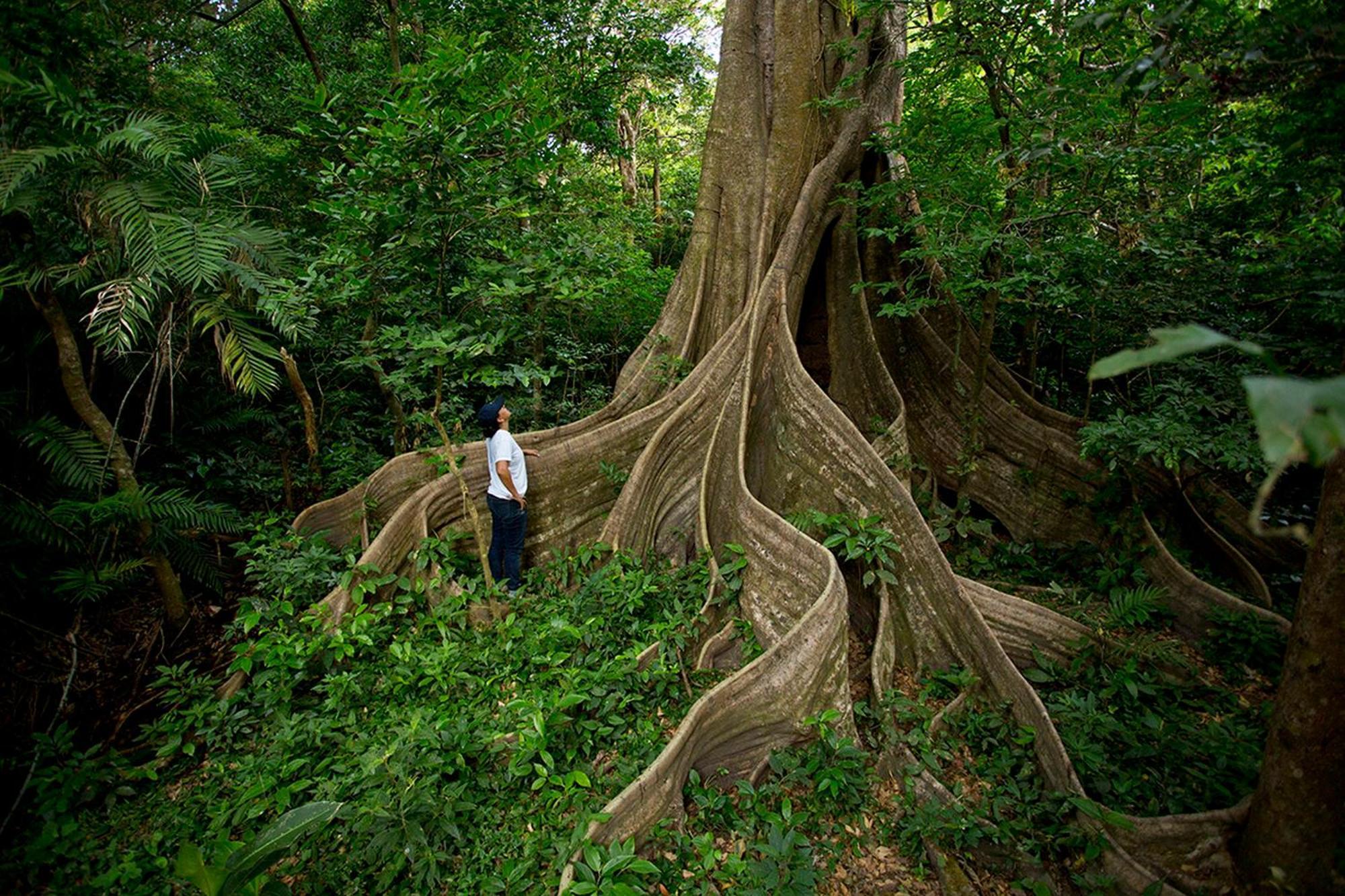 Buena Vista Del Rincon Eco Adventure Park Hotel & Spa Liberia Ngoại thất bức ảnh