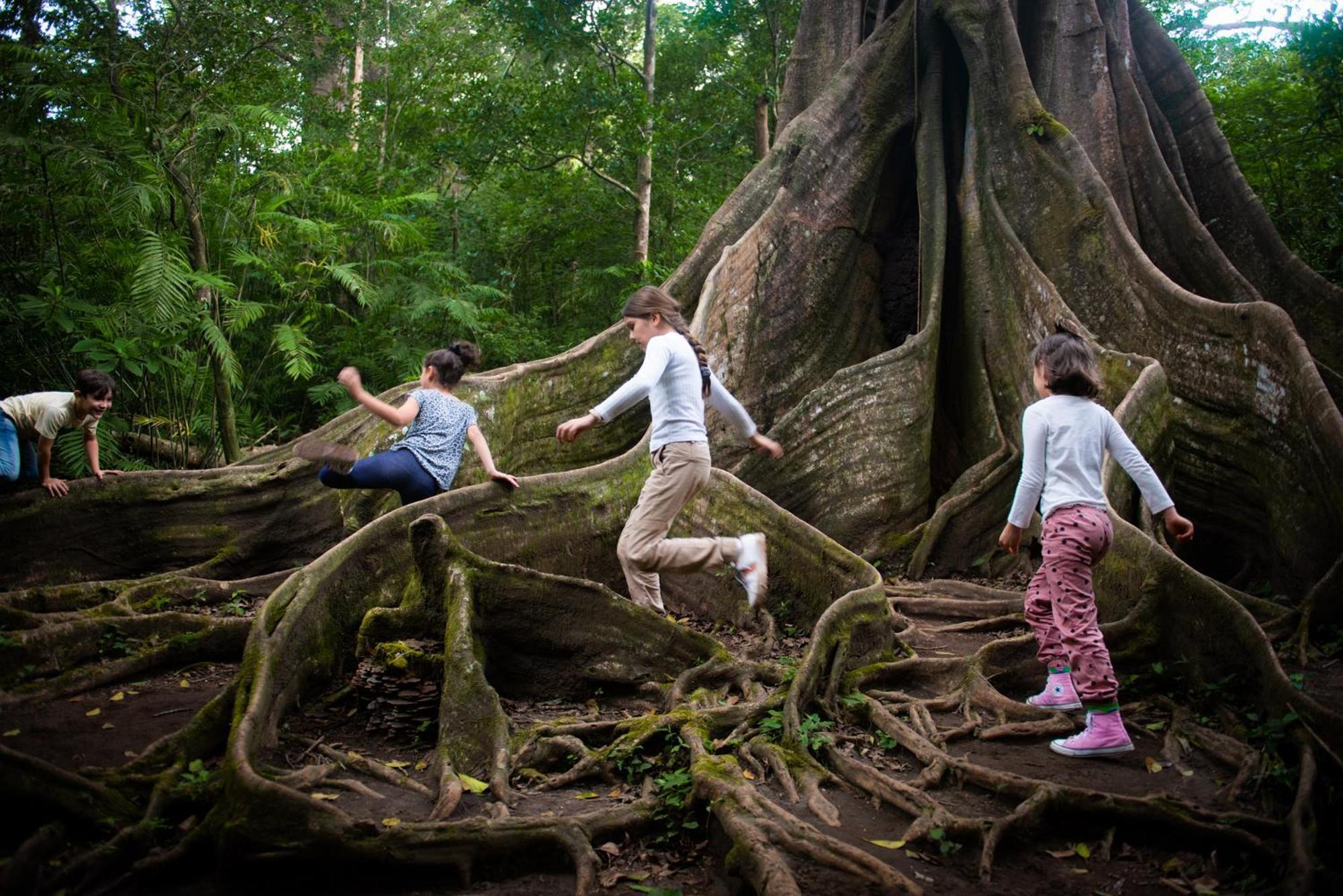 Buena Vista Del Rincon Eco Adventure Park Hotel & Spa Liberia Ngoại thất bức ảnh