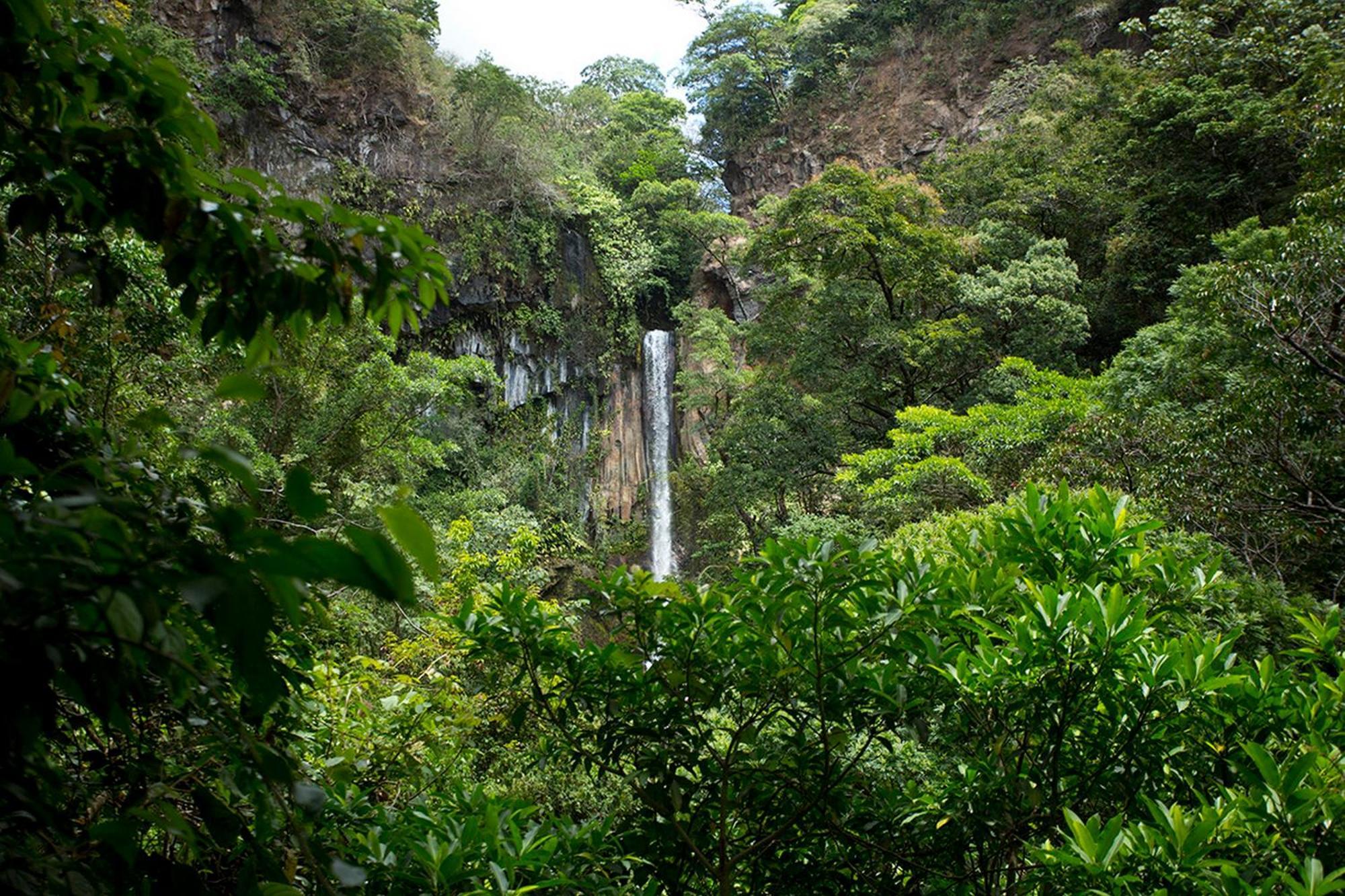Buena Vista Del Rincon Eco Adventure Park Hotel & Spa Liberia Ngoại thất bức ảnh