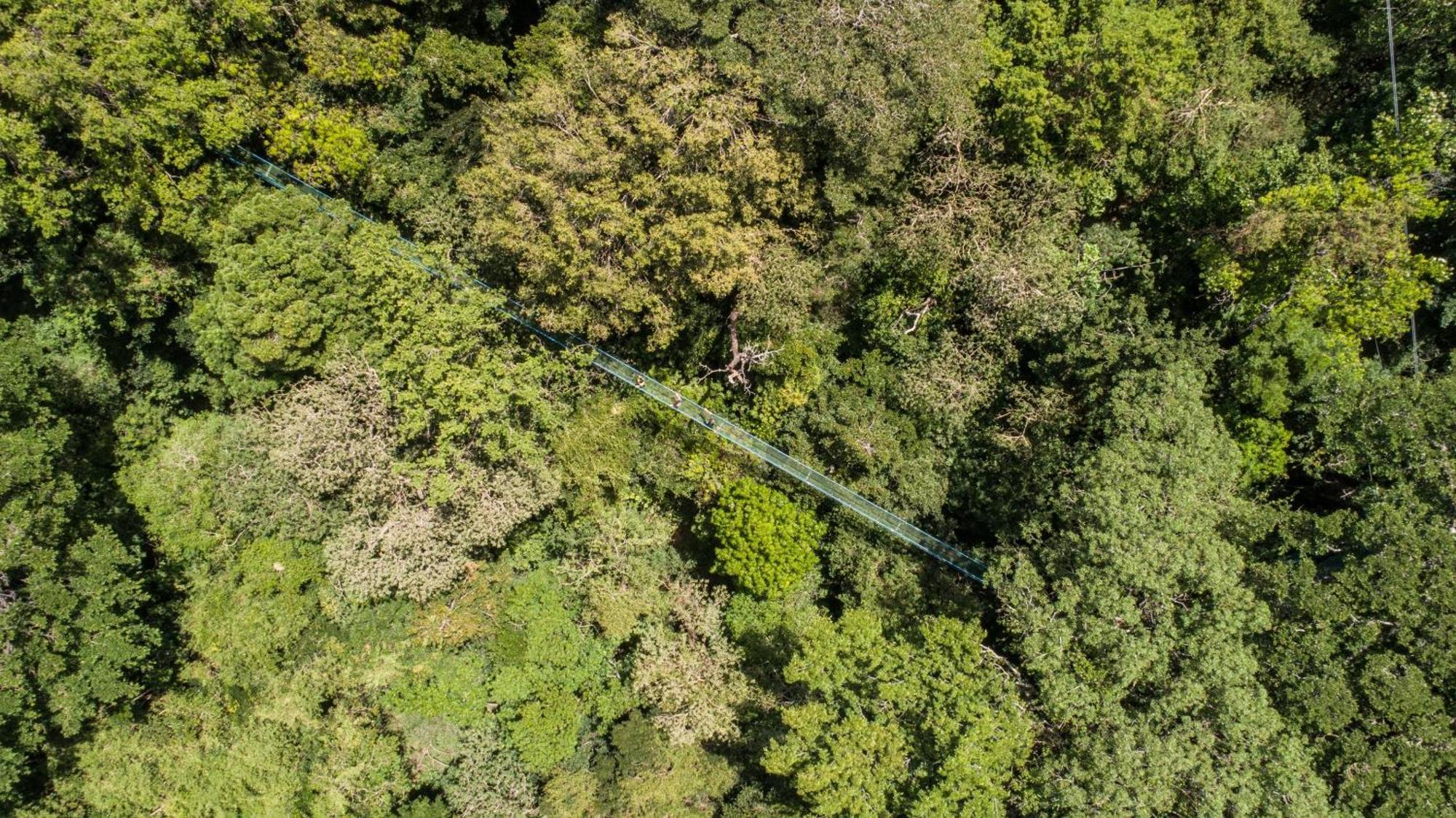 Buena Vista Del Rincon Eco Adventure Park Hotel & Spa Liberia Ngoại thất bức ảnh